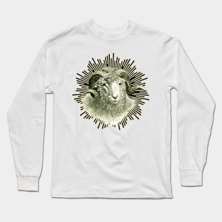 Cute little sheep with the twisted horn is looking at us Long Sleeve T-Shirt